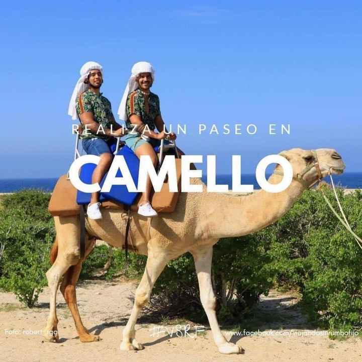¿Cuál es el mejor destino de Luna de Miel en México? - 6