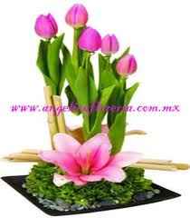 tulipanes