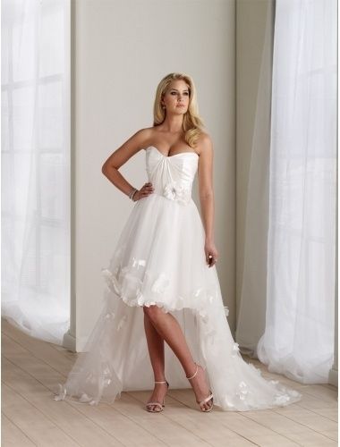 Organza