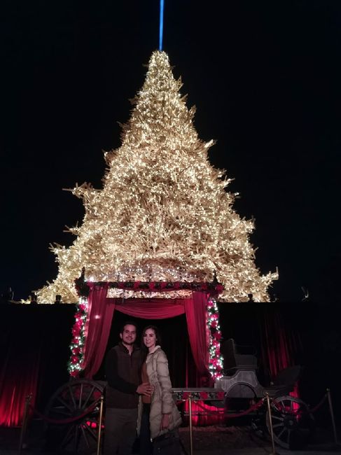 ¡Comparte tu momento de: Diciembre! 11