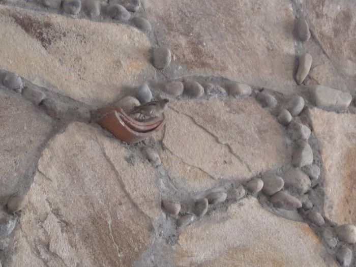 Decoración de las paredes