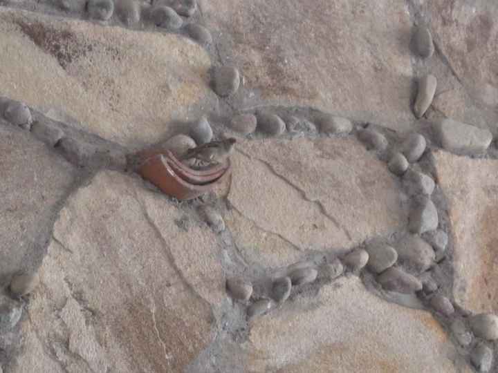 Decoración de las paredes