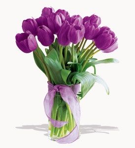 Tulipanes morados
