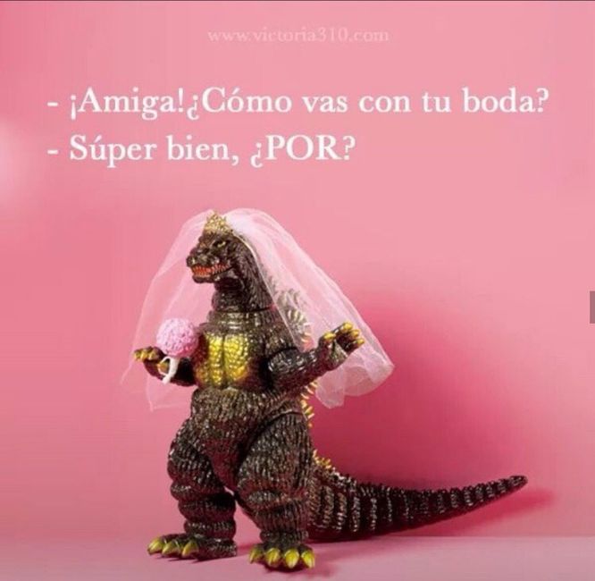 Un poco de humor Chicas ánimo 5