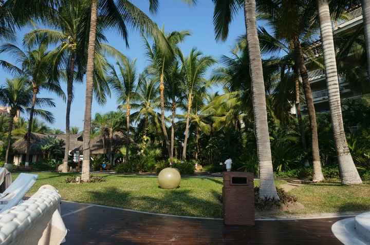 Quiero mi boda en puerto vallarta - 3