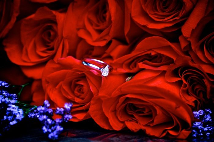 Shine bright like a diamond.