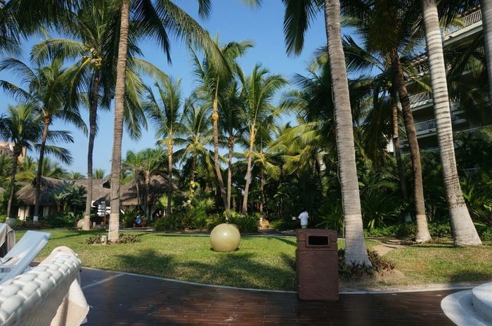 Quiero mi boda en puerto vallarta - 3