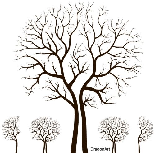 Árbol 5