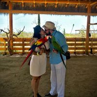 Mi luna de miel! - 5