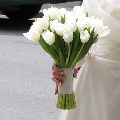 Tulipanes
