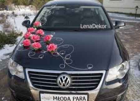 carro decorado 