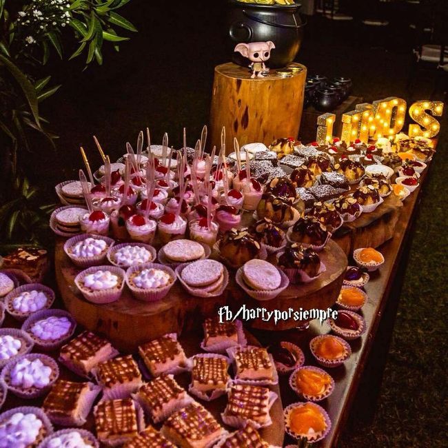 🎩 🧙🏻‍♀️ Boda Harry Potter  ⚡️ - 10