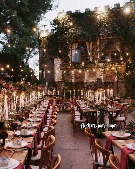 🎩 🧙🏻‍♀️ Boda Harry Potter  ⚡️ - 11