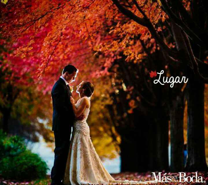 Boda otoñal - 2