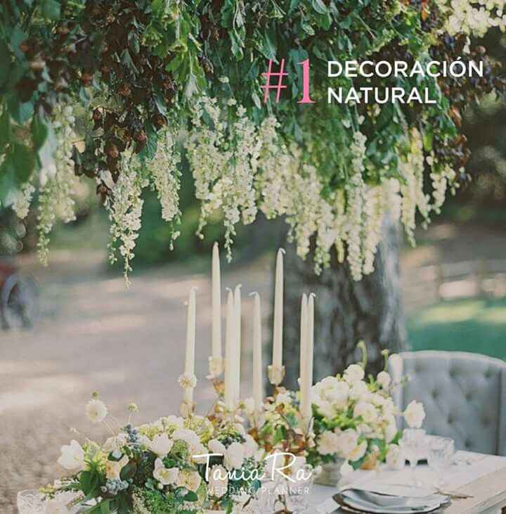 Por qué hacer una boda en jardin? - 2