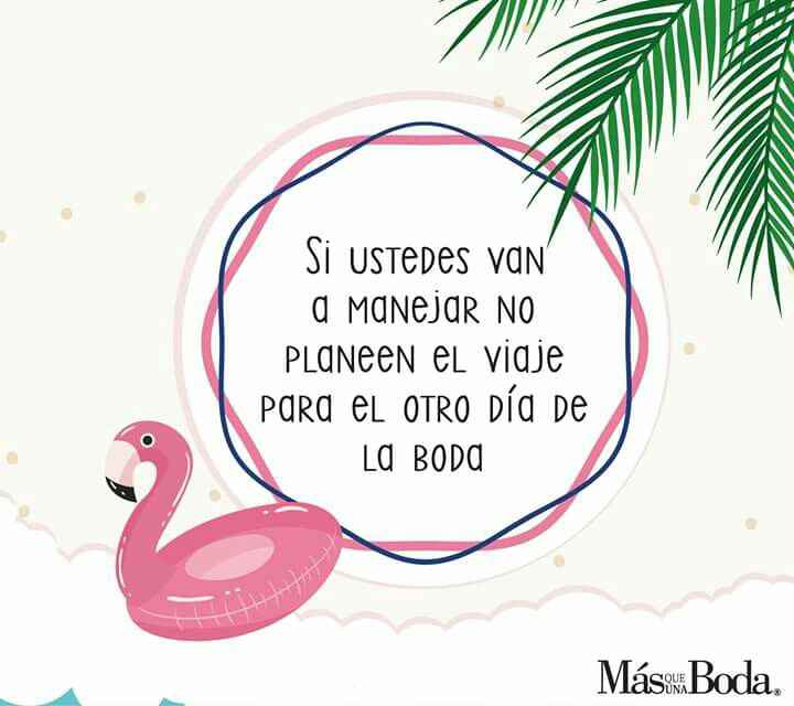  Tips  para una luna de miel - 6
