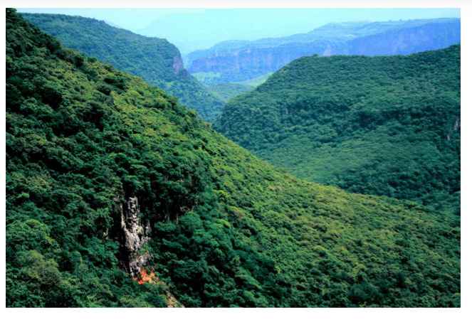 Paisajes..