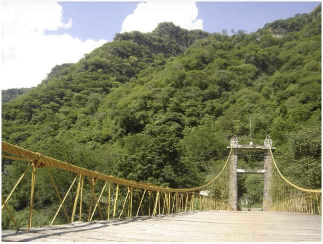 Puente...