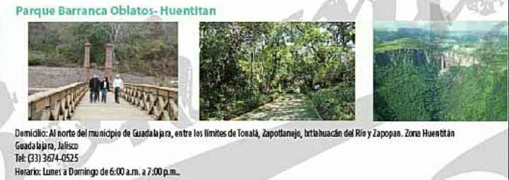  Lugares en Jalisco para tu sesión   de fotos - 1