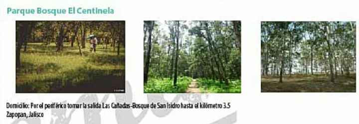  Lugares en Jalisco para tu sesión   de fotos - 4