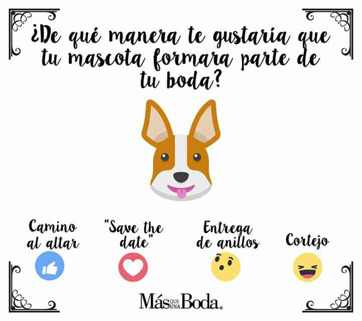  Nuestras mascotas en la Boda - 1