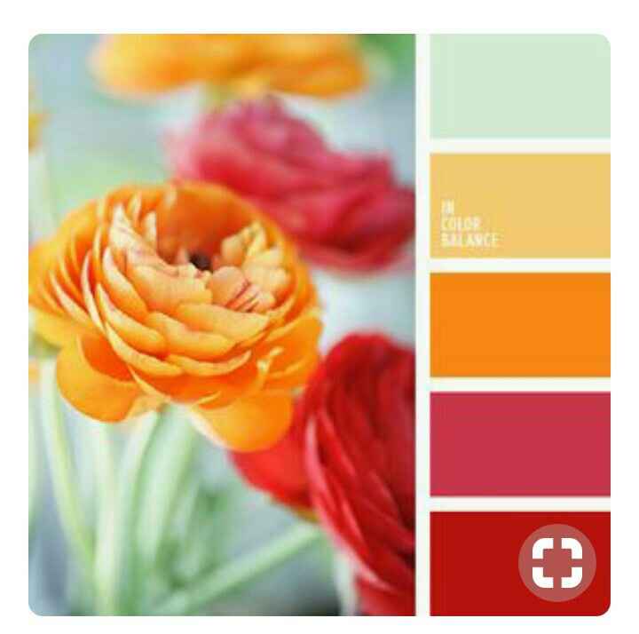  Paleta de colores Color Rojo♦♥🔴 - 8