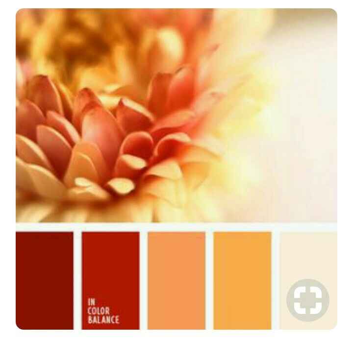  Paleta de colores Color Rojo♦♥🔴 - 13