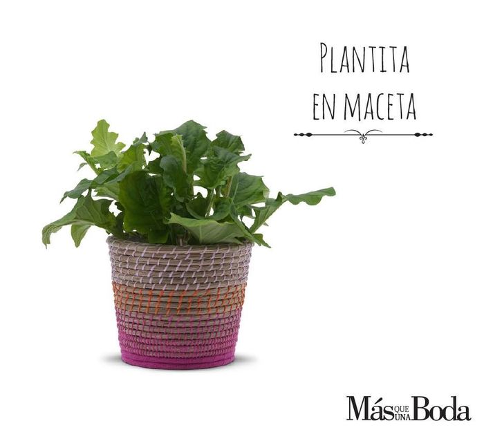 Despedida de soltera tradicional - 8