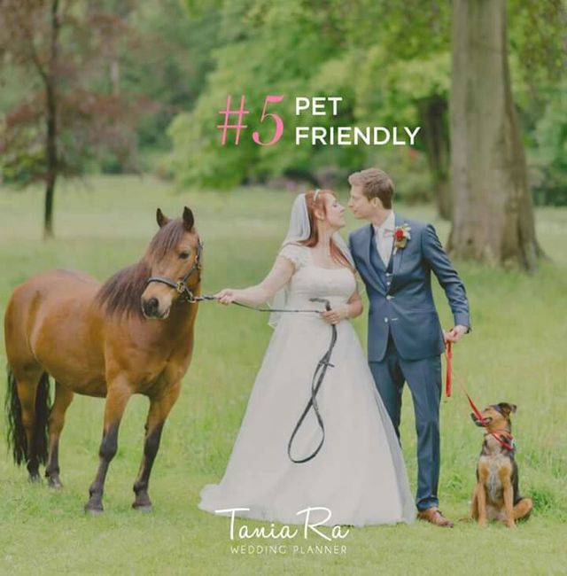 Por qué hacer una boda en jardin? - 6