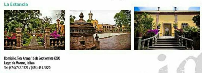 Lugares en Jalisco para tu sesión   de fotos - 13