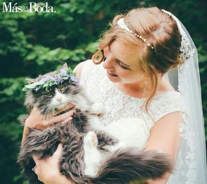  Las flores para la mascota en la boda - 11