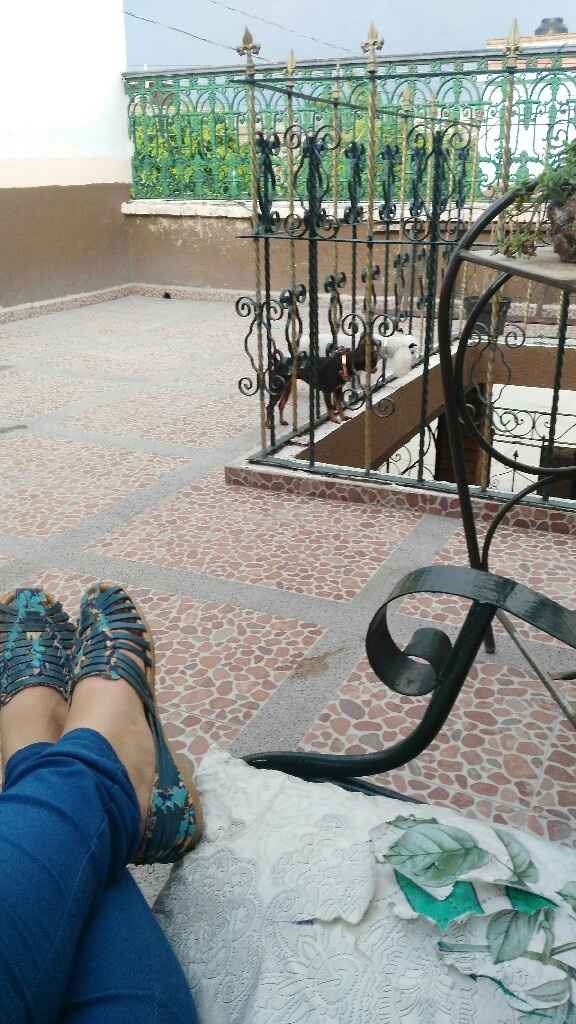 Comparte tu foto - 1