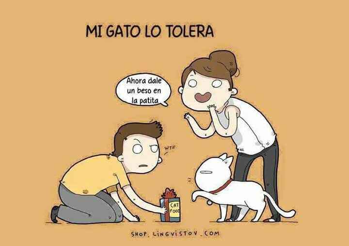 Ni mandado hacer!! - 7