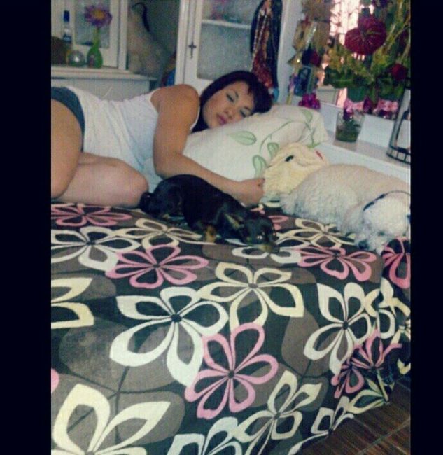 Y las mascotas? - 6