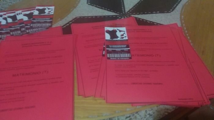 Lo mejor del proceso de organización - 2