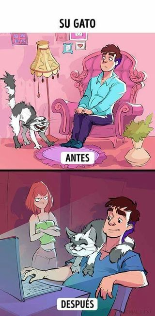 Antes & despues - 7