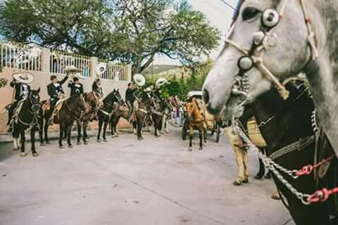 Alguien tendrá una boda así! - 9