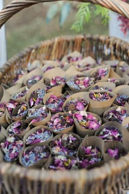 "Confetti para los Novios" - 3