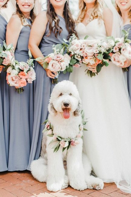 " Nuestro Mejor Amigo Nupcial" 2