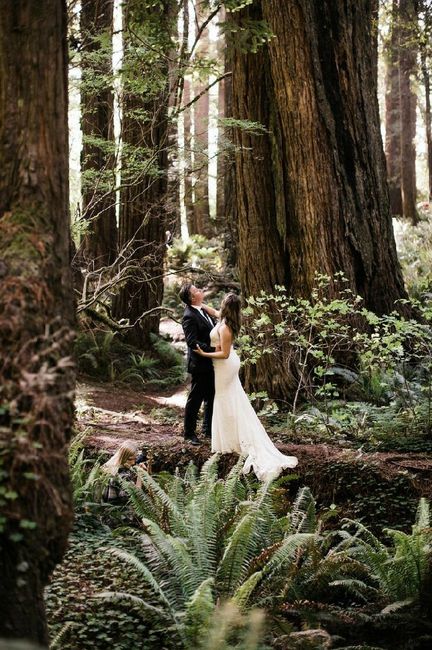 "Trash the Drees en el Bosque" - 1