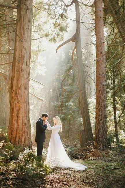 "Trash the Drees en el Bosque" - 7