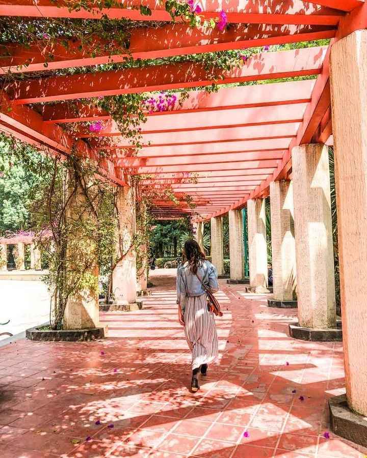 "Las locaciones más bonitas de la cdmx para una sesión de fotos" - 10