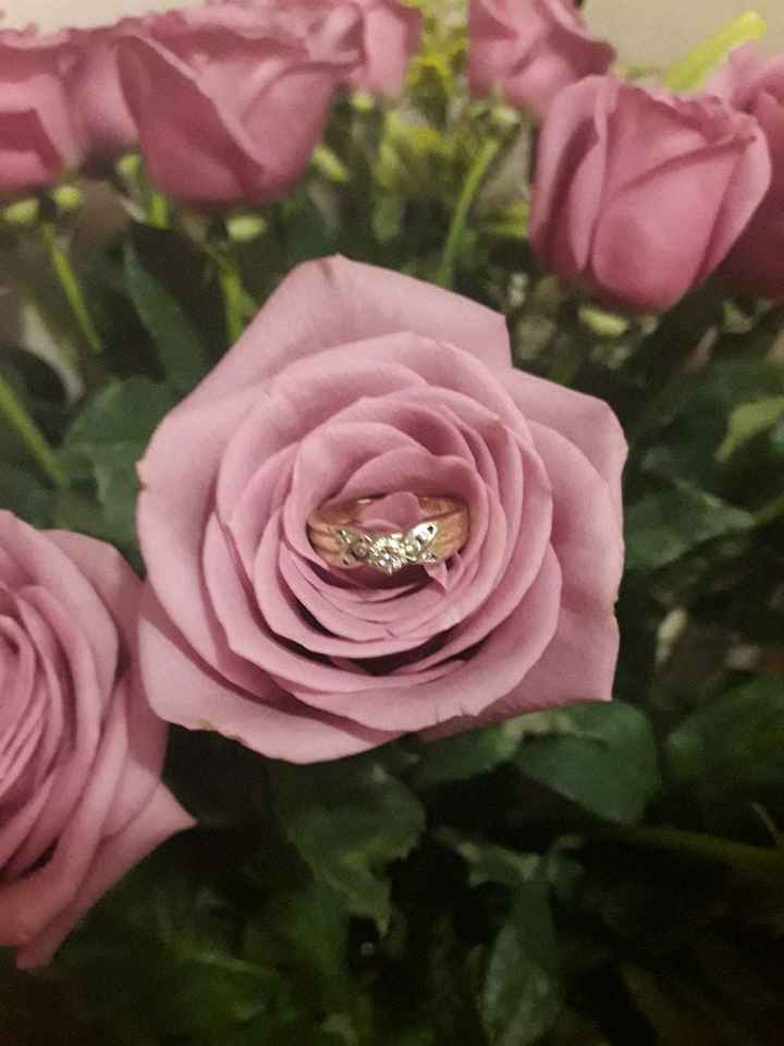 Quiero ver sus anillos. ¡me fascinan! 🐝 - 1