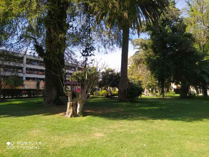 "El Jardín de los Sueños" - 2
