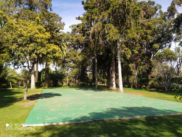"El Jardín de los Sueños" - 3
