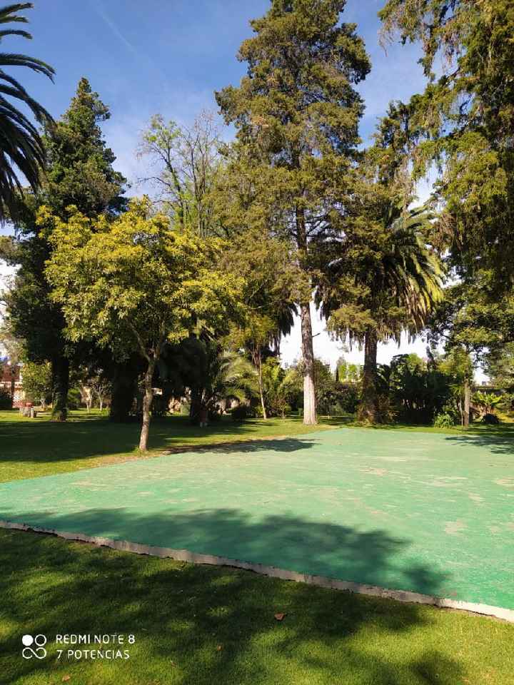 "El Jardín de los Sueños" - 4