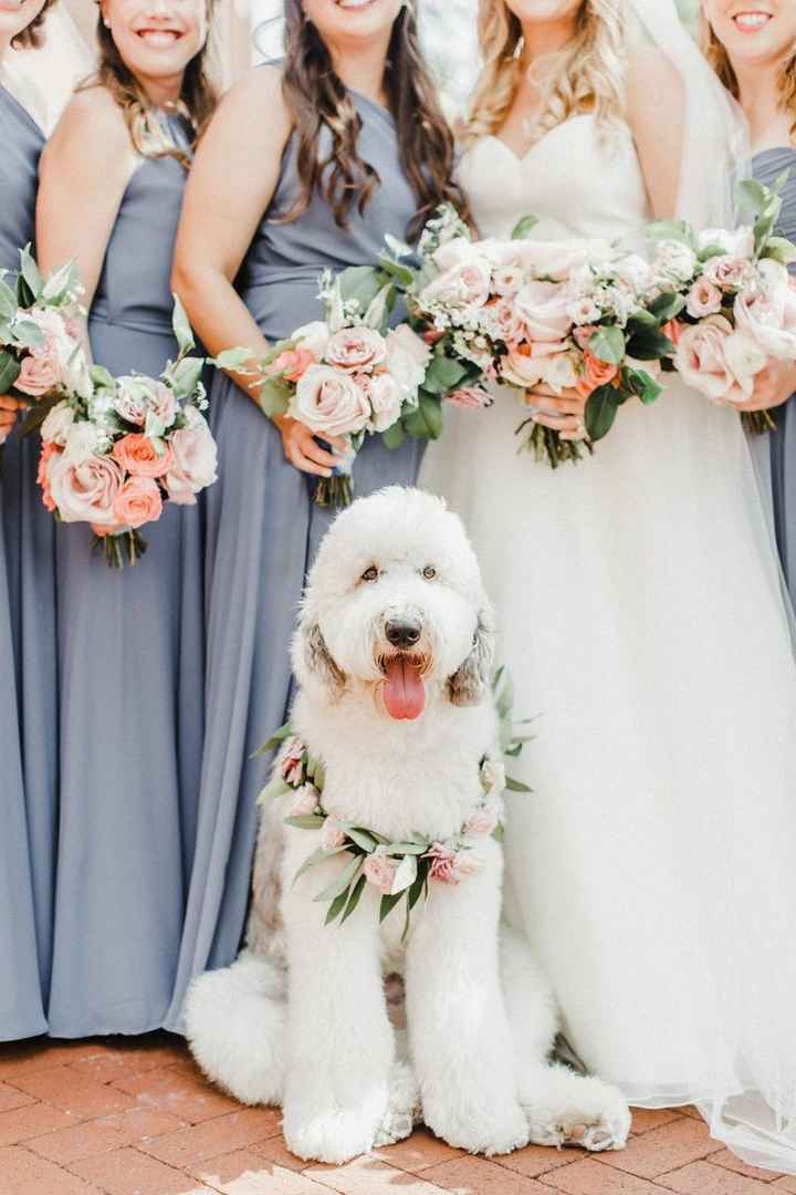 " Nuestro Mejor Amigo Nupcial" - 2