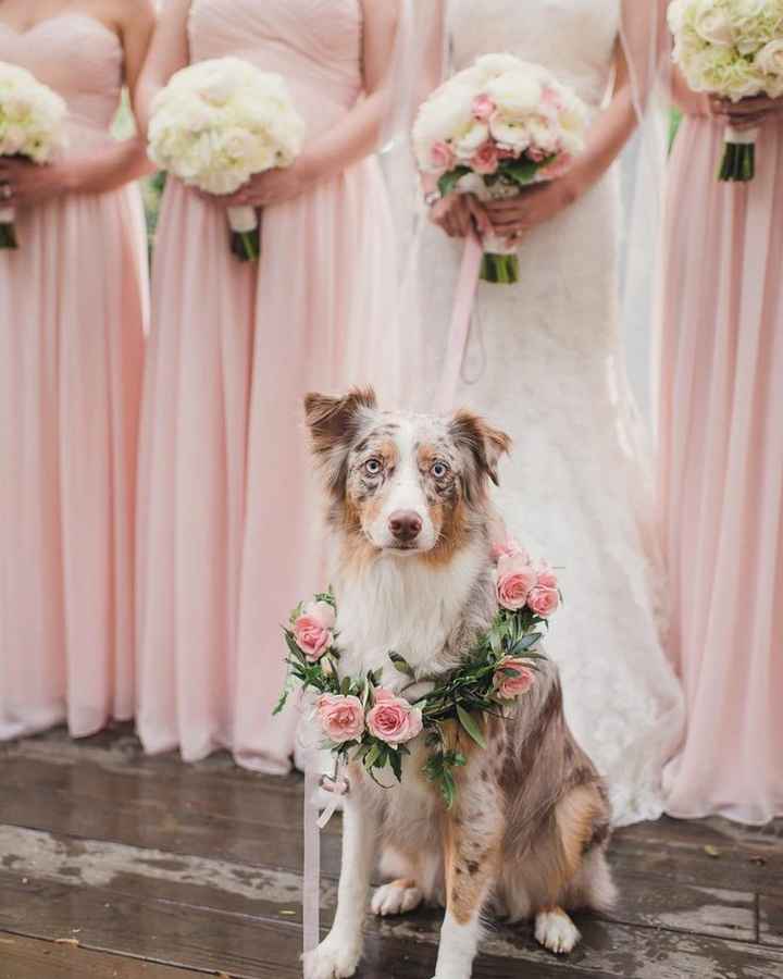 " Nuestro Mejor Amigo Nupcial" - 3