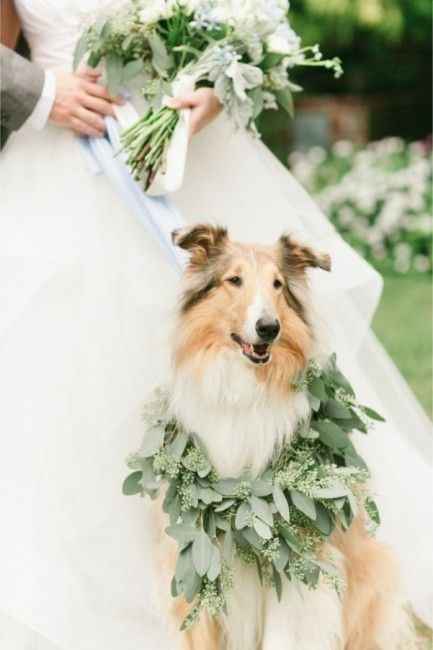 " Nuestro Mejor Amigo Nupcial" - 4