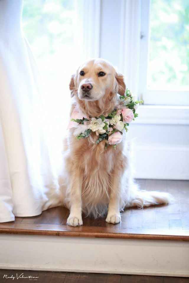 " Nuestro Mejor Amigo Nupcial" - 5